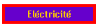 Elctricit